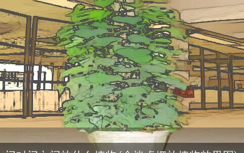 门对门之间放什么植物(会议桌摆放植物效果图)