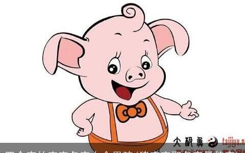 四个字的宝宝名字大全男孩(猪宝宝取名字最佳字)