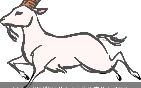 属羊的招财物是什么(属羊的带什么招财)