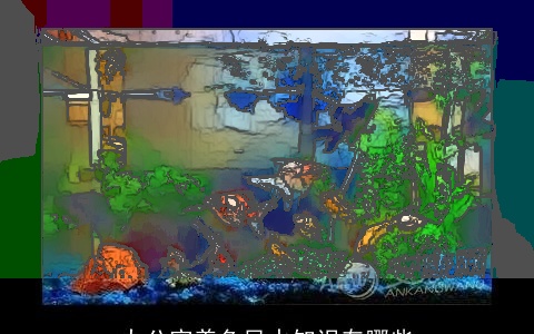 办公室养鱼风水知识有哪些