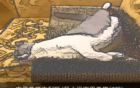 家里养猫吉利吗(风水学家里养猫好吗)