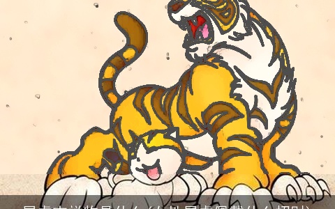 属虎吉祥物是什么(女性属虎佩戴什么招财)