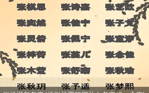 张姓洋气名字(姓张的男孩取什么名字好一个字)