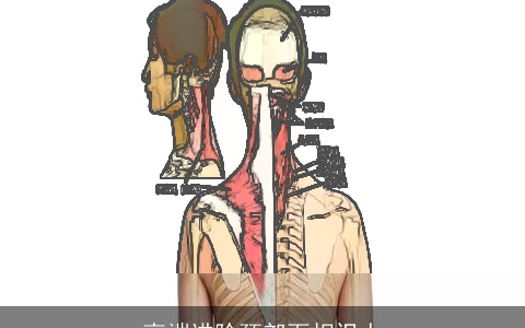 高端进阶颈部面相识人