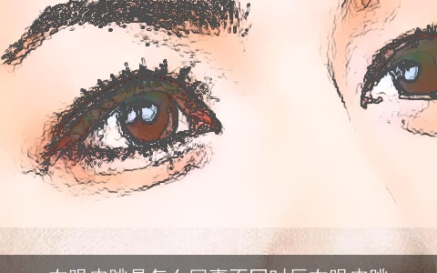 右眼皮跳是怎么回事不同时辰右眼皮跳