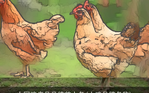 中国鸡产品品牌前十名(土鸡品牌名称)