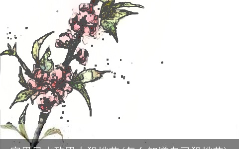 家里风水致男人犯桃花(怎么知道自己犯桃花)