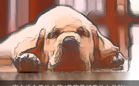 家中适合养什么狗(养狗最好养什么品种)