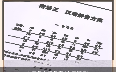 大字怎么起名字(大字取名)