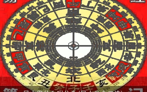 风水里什么叫分金(风水分金口诀)