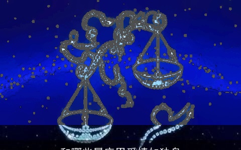 和哪些星座男爱情如独身