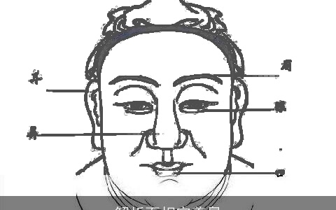 解析面相宓羲鼻