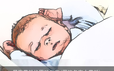 属狗带毅的男孩名字(男孩名字中带毅)