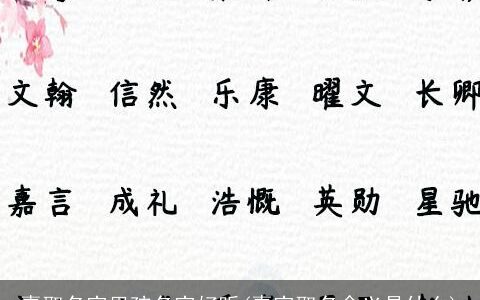 嘉取名字男孩名字好听(嘉字取名含义是什么)