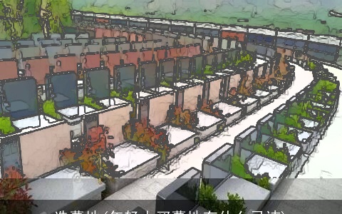 选墓地(年轻人买墓地有什么忌讳)