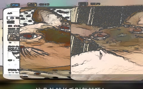 这几处越长毛财气越旺！