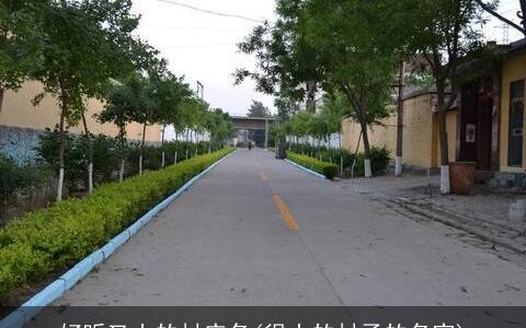 好听又土的村庄名(很土的村子的名字)