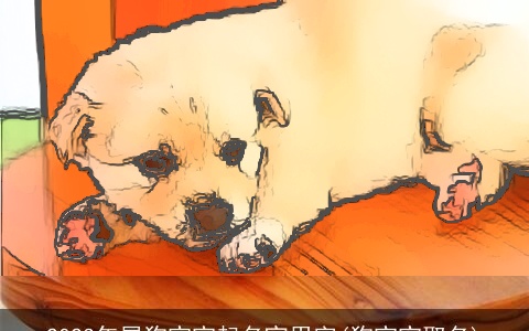 2024年属狗宝宝起名宜用字(狗宝宝取名)