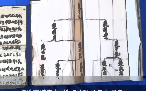 卢姓家谱字辈(姓卢的孩子怎么取名)