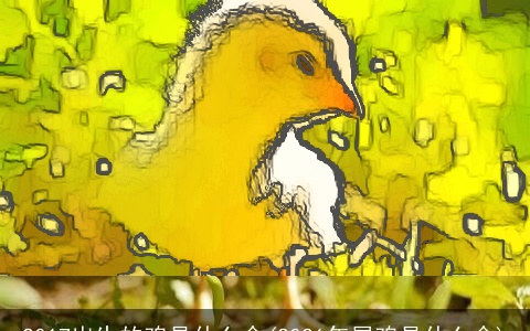 2017出生的鸡是什么命(2021年属鸡是什么命)