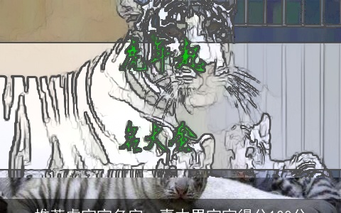 推荐虎宝宝名字，喜木男宝宝得分100分