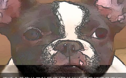 不适合养狗的三种属相(属羊的人养狗好还是不好)