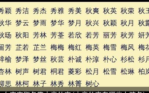 女宝宝取名带木旁的字(木旁的字有哪些女孩名)
