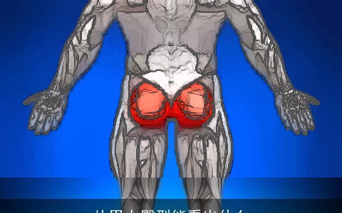 从男人臀型能看出什么