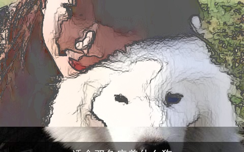 适合双鱼座养什么狗