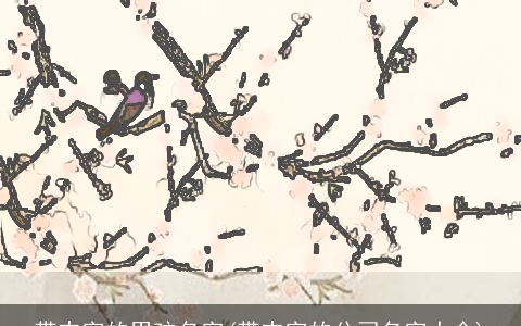 带丰字的男孩名字(带丰字的公司名字大全)