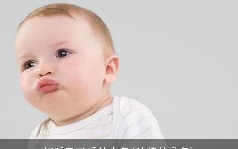 好听又可爱的小名(独特的乳名)