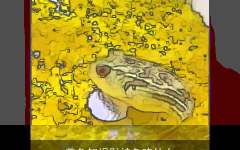 养鱼知识财神鱼吃什么