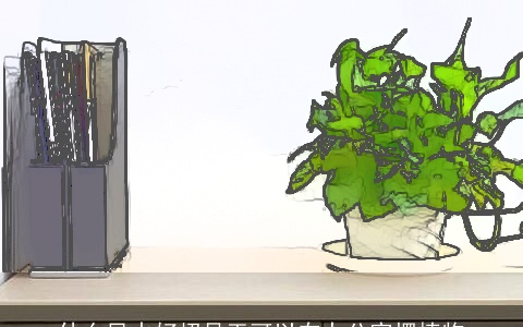 什么风水好招员工可以在办公室摆植物