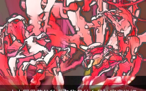 十大冥界花的种类名称是什么具体寓意详细