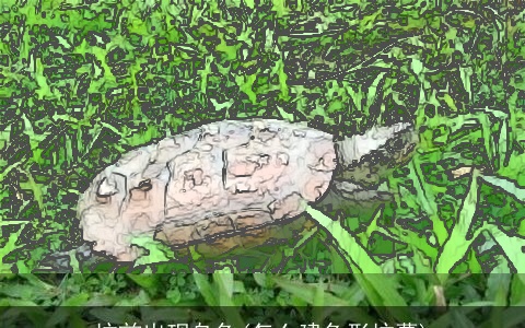 坟前出现乌龟(怎么建龟形坟墓)