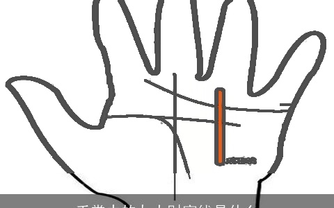 手掌中的九大财富线是什么