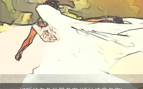 好听的白色礼服名字(婚纱诗意名字)