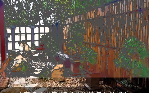 北京院子出售(院子的围墙怎么做好看)