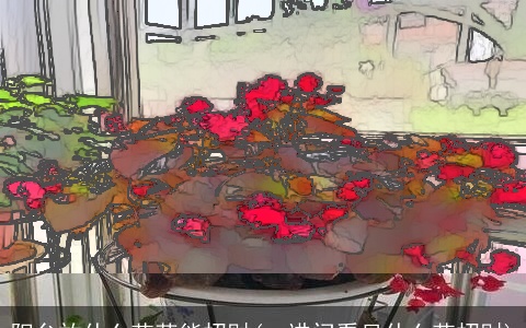 阳台放什么花草能招财(一进门看见什么花招财)