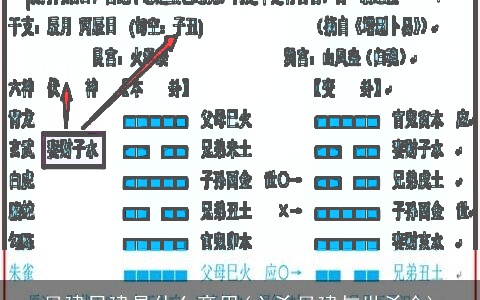 月建日建是什么意思(六爻月建与世爻合)