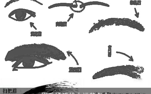 眉毛稀疏的人运势怎么