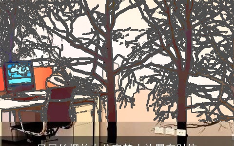 凤尾竹摆放办公室禁止放置在财位