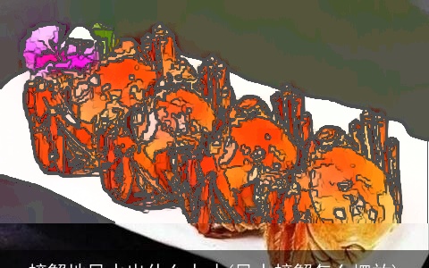 螃蟹地风水出什么人才(风水螃蟹怎么摆放)