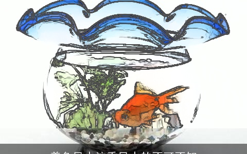 养鱼风水注重风水的不可不知