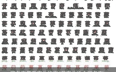 取名字带草字头的字(草字头适合取名字)