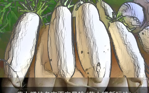 萝卜蹲的名字不容易输(萝卜蹲新玩法)