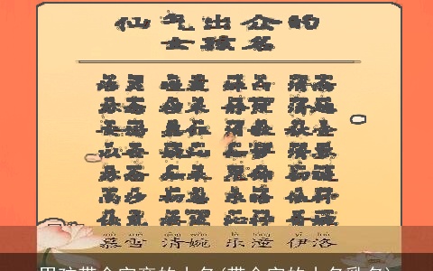 男孩带金字旁的小名(带金字的小名乳名)