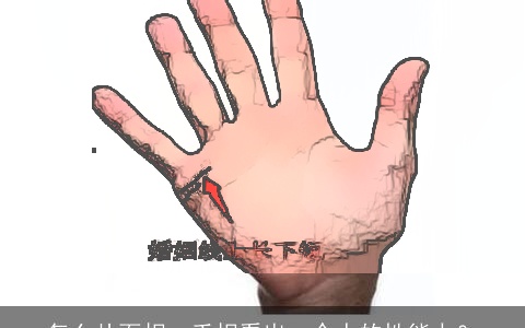 怎么从面相、手相看出一个人的性能力？