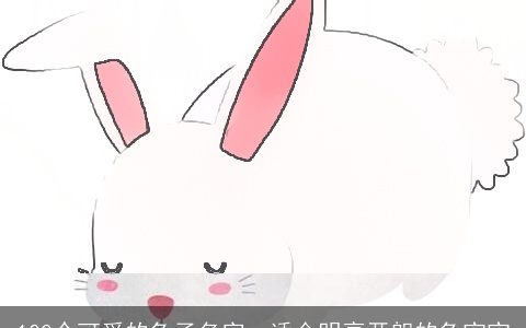 100个可爱的兔子名字，适合明亮开朗的兔宝宝