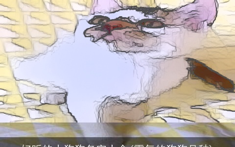 好听的小狗狗名字大全(霸气的狗狗品种)